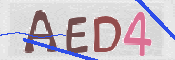 Kontrolní text