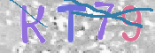 Kontrolní text