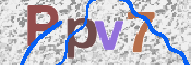 Kontrolní text