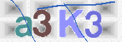 Kontrolní text