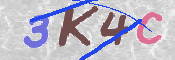 Kontrolní text