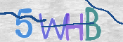 Kontrolní text