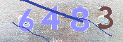 Kontrolní text