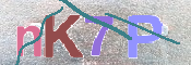 Kontrolní text