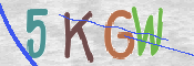 Kontrolní text