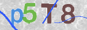 Kontrolní text