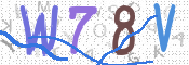 Kontrolní text