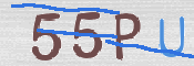 Kontrolní text
