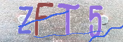 Kontrolní text
