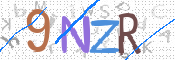 Kontrolní text