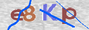 Kontrolní text