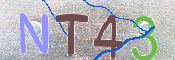 Kontrolní text
