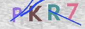 Kontrolní text