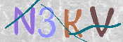 Kontrolní text