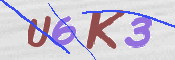 Kontrolní text