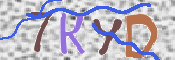 Kontrolní text