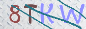 Kontrolní text