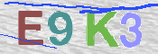 Kontrolní text