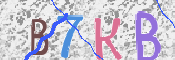 Kontrolní text