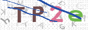 Kontrolní text