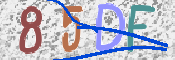 Kontrolní text