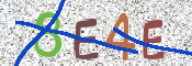 Kontrolní text