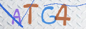 Kontrolní text