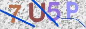 Kontrolní text