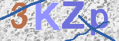 Kontrolní text