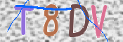 Kontrolní text
