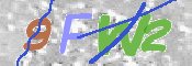Kontrolní text
