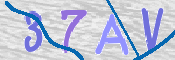 Kontrolní text