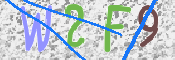 Kontrolní text