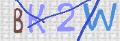 Kontrolní text