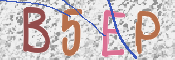 Kontrolní text