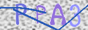 Kontrolní text