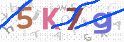 Kontrolní text