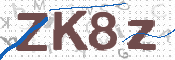 Kontrolní text