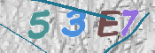Kontrolní text