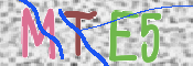 Kontrolní text