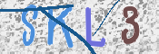 Kontrolní text