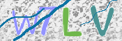 Kontrolní text