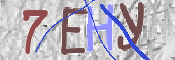 Kontrolní text