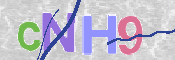 Kontrolní text