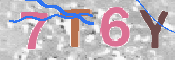 Kontrolní text