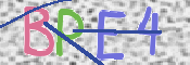 Kontrolní text