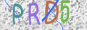 Kontrolní text