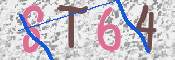 Kontrolní text