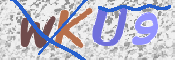 Kontrolní text