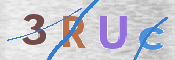Kontrolní text